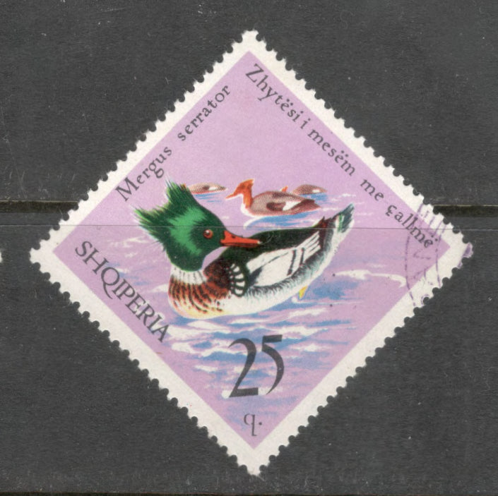 Albania 1975 25 Quintar Multicoloured Bird Wild Fowl Mergus Srrator Stamp - Perfin: 12.0