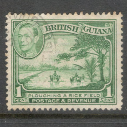British Guiana 1938 - 1952 1 Cent Local Motives Yellowish Green Stamp - Perfin: 12.5