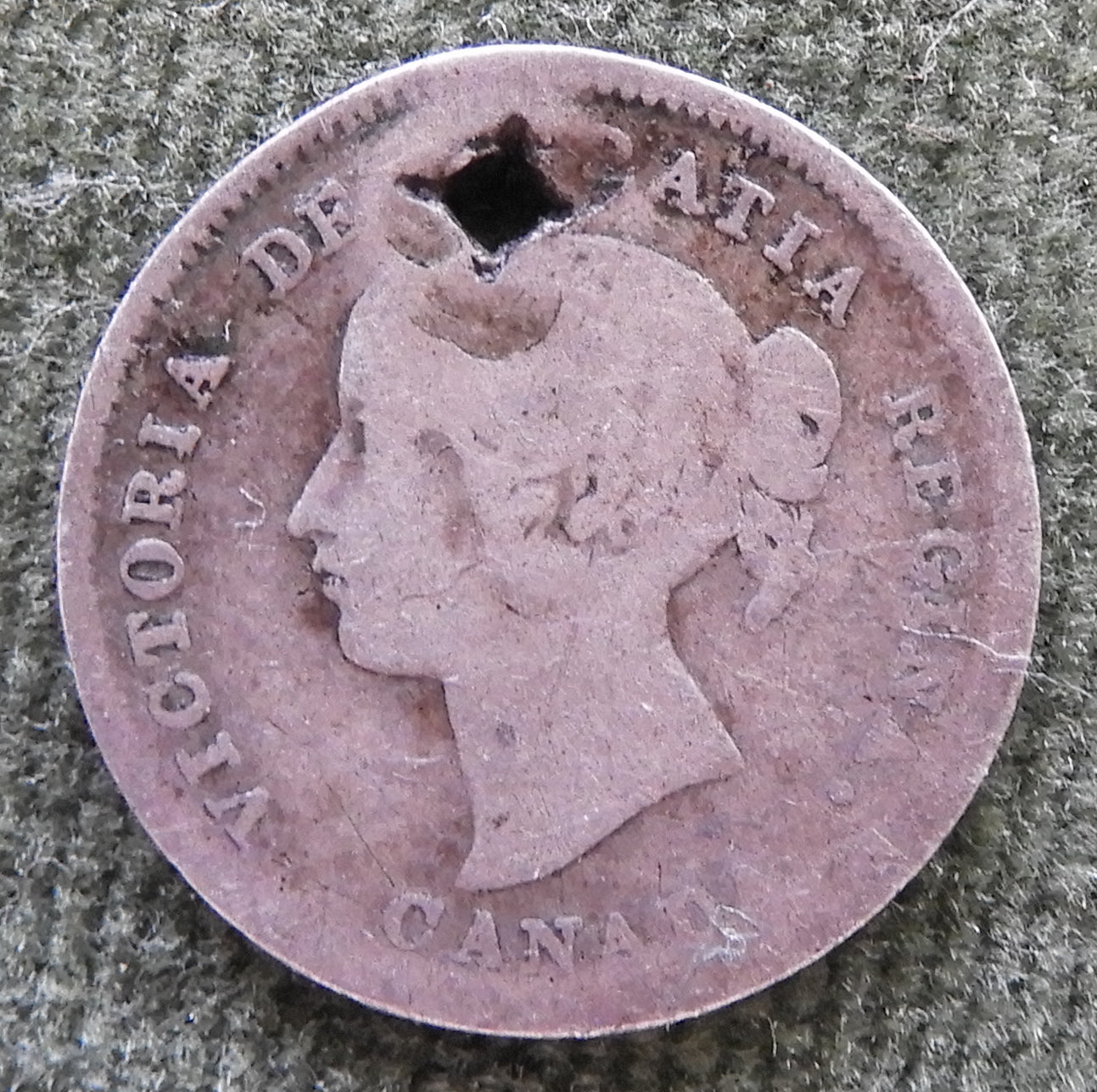 Canada 1900 5 Cent Silver Coin Queen Victoria