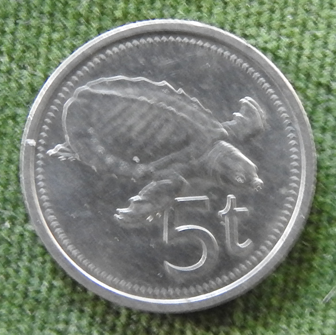 New Guinea 1975 5 Toea Pig-nosed Turtle Coin