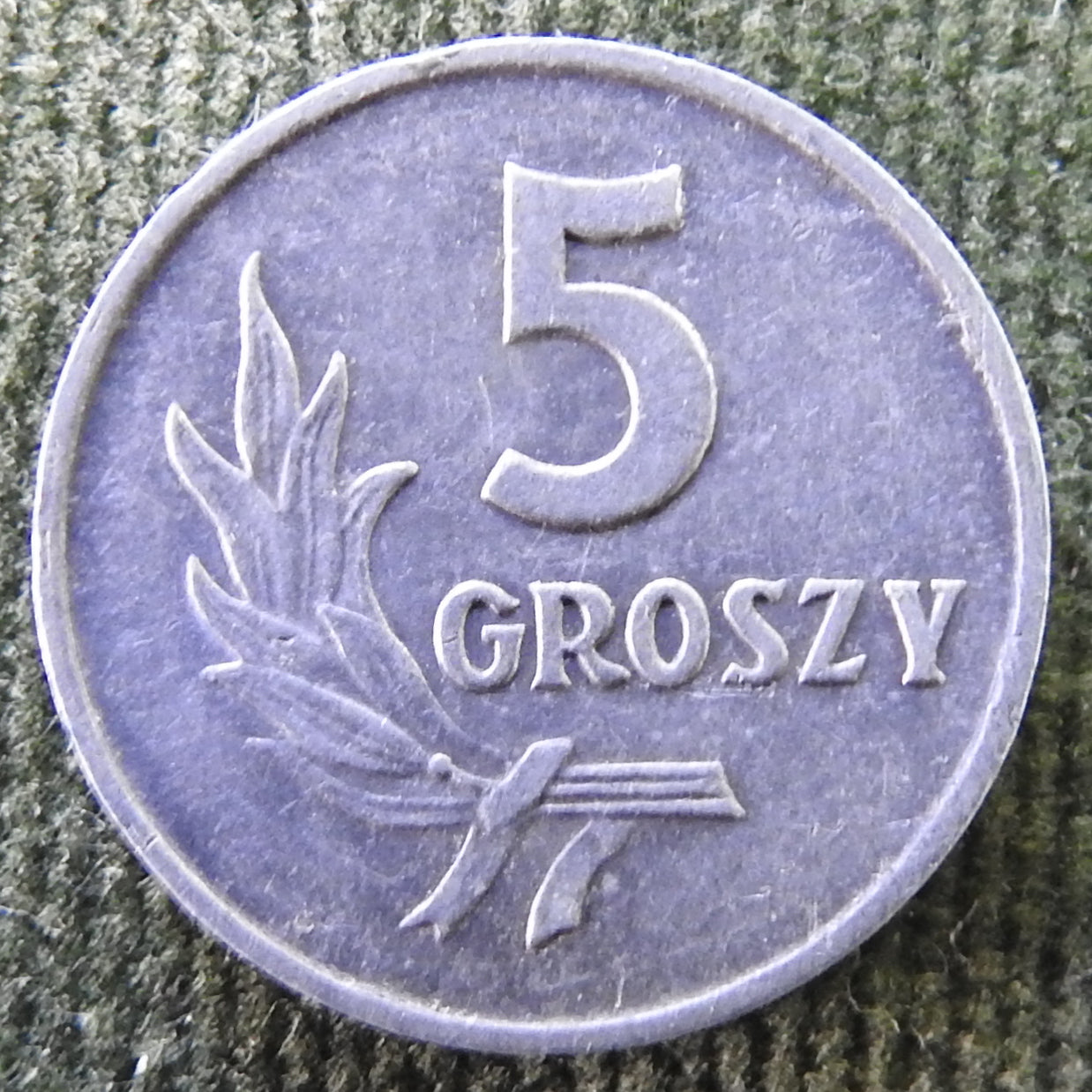 Poland 1962 5 Groszy Coin - Circulated