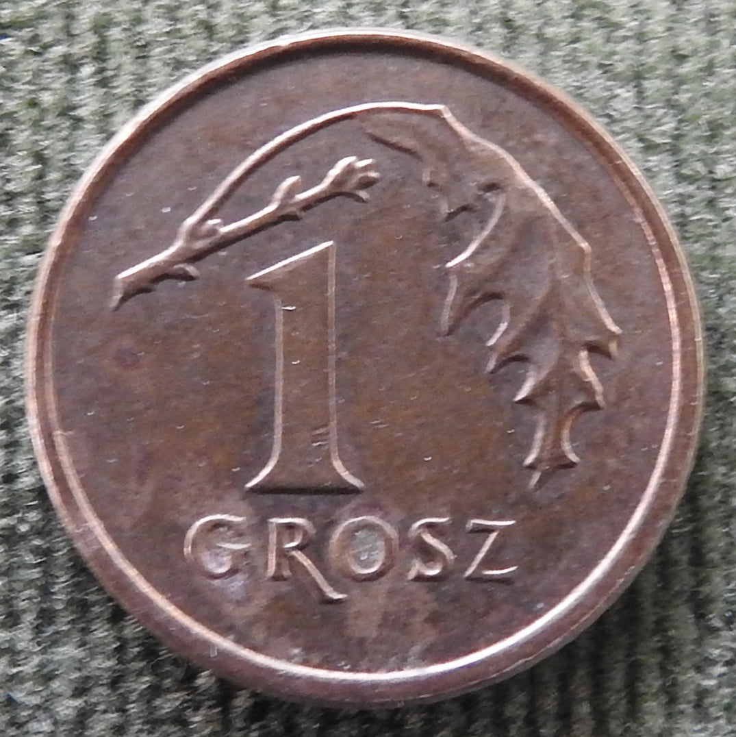 Poland 1991 1 Groszy Coin - Circulated