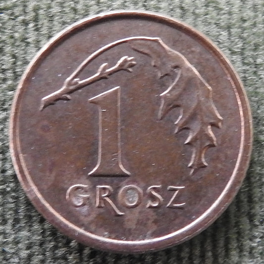 Poland 1991 1 Groszy Coin - Circulated