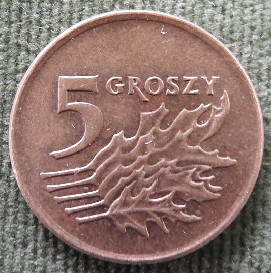 Poland 1991 5 Groszy Coin - Circulated