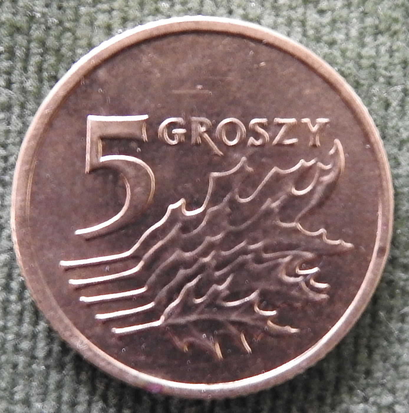 Poland 1998 5 Groszy Coin - Circulated