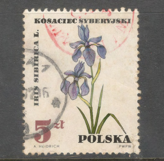 Poland Polska 1967 Protected Therapeutic Plants Stamp - Cancelled