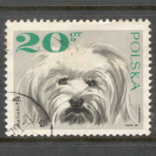 Poland Polska 1969 Dogs Stamp - Cancelled