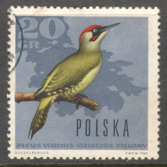 Poland Polska 1966 Forest Birds Stamp - Cancelled