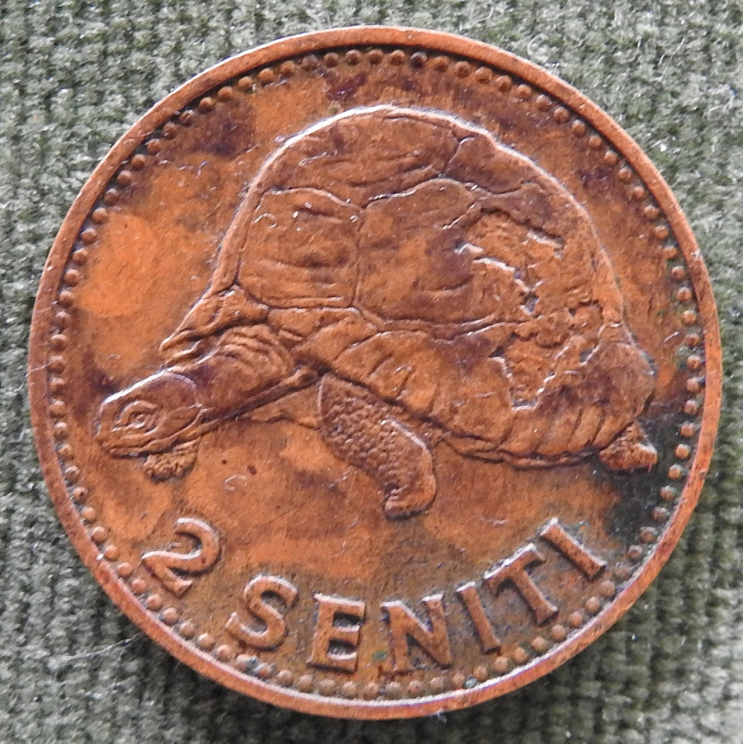 Tonga 1967 2 Seniti Salote Tapou III Coin - Circulated