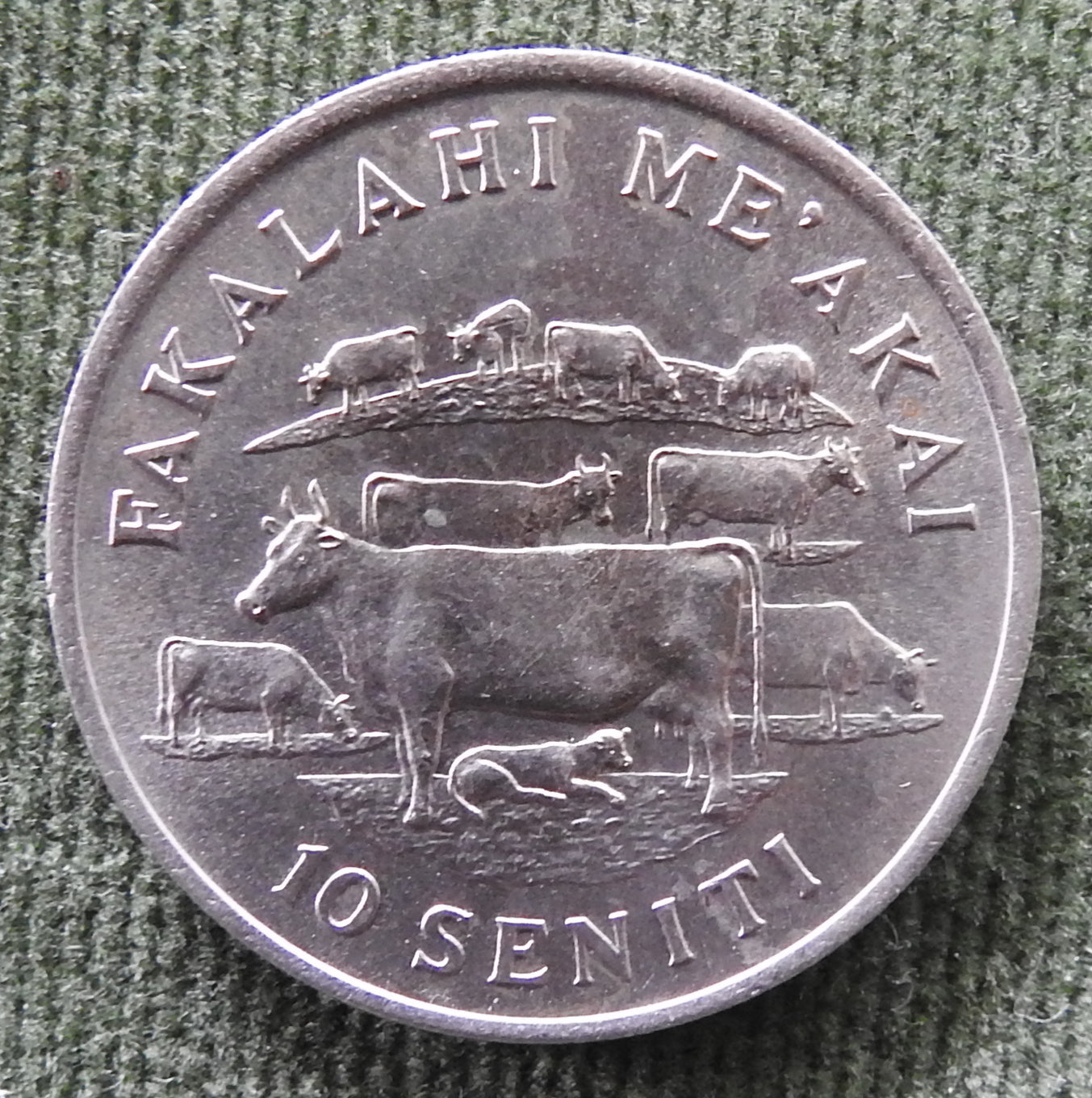 Tonga 1979 10 Seniti Cows In Pasture Coin