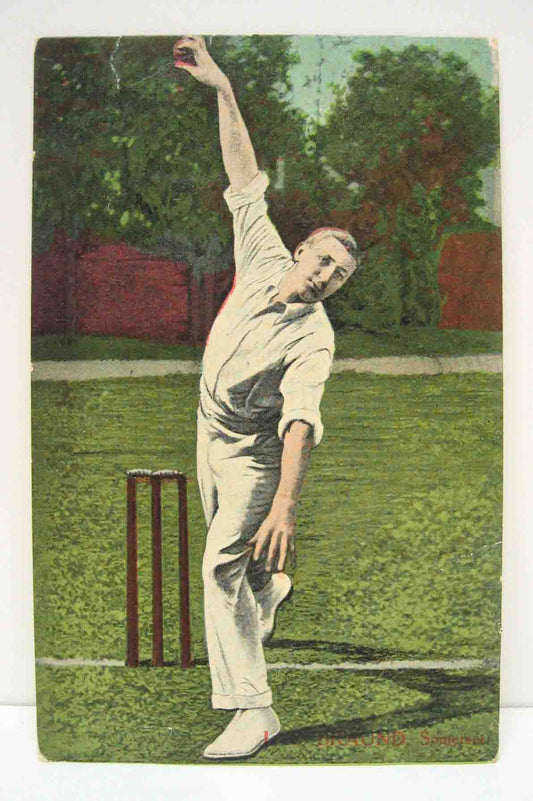 Postcard of an unknown cricketer / bowler in unused condition.