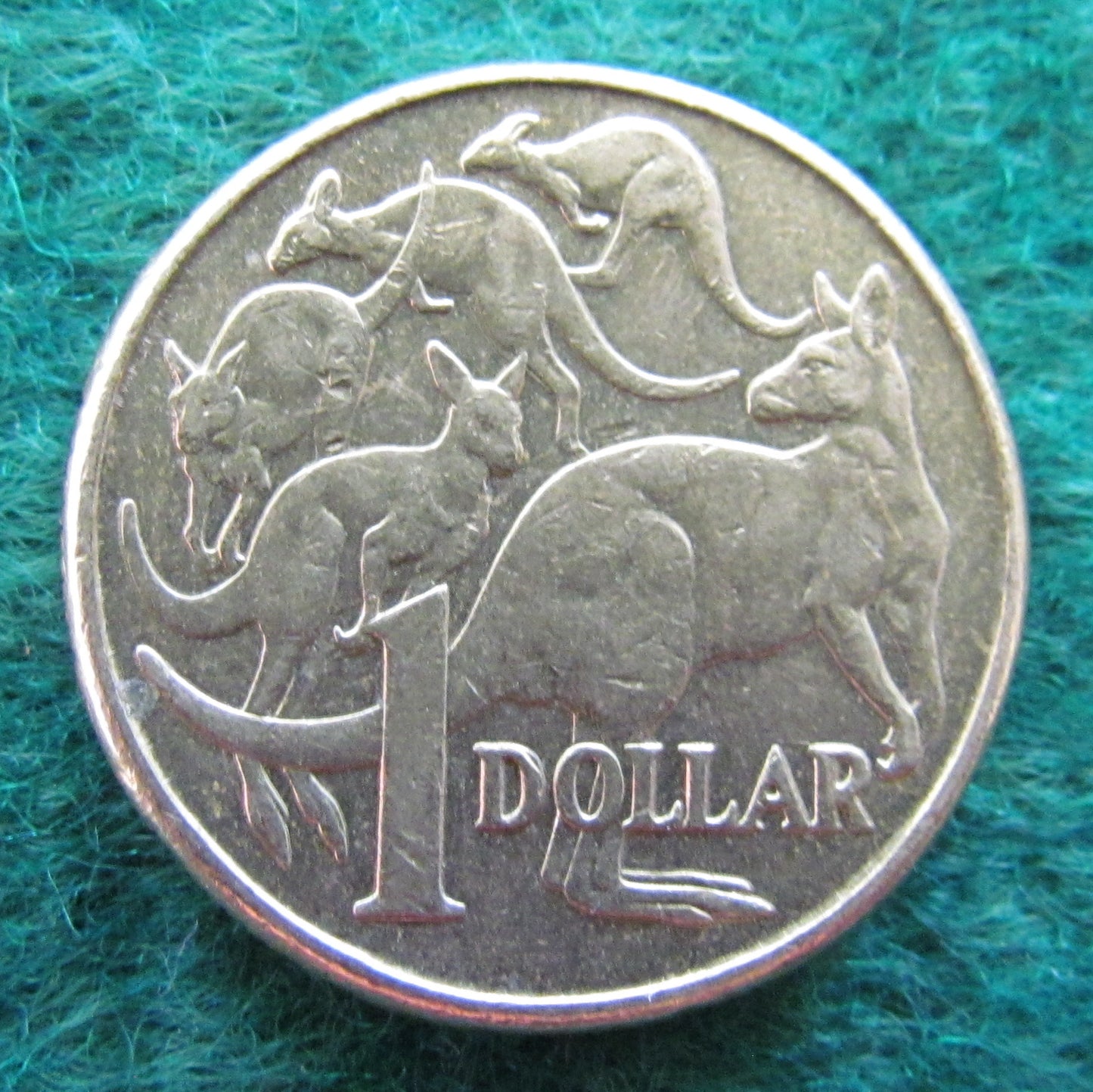 Australian 2013 1 Dollar Queen Elizabeth Coin - Circulated