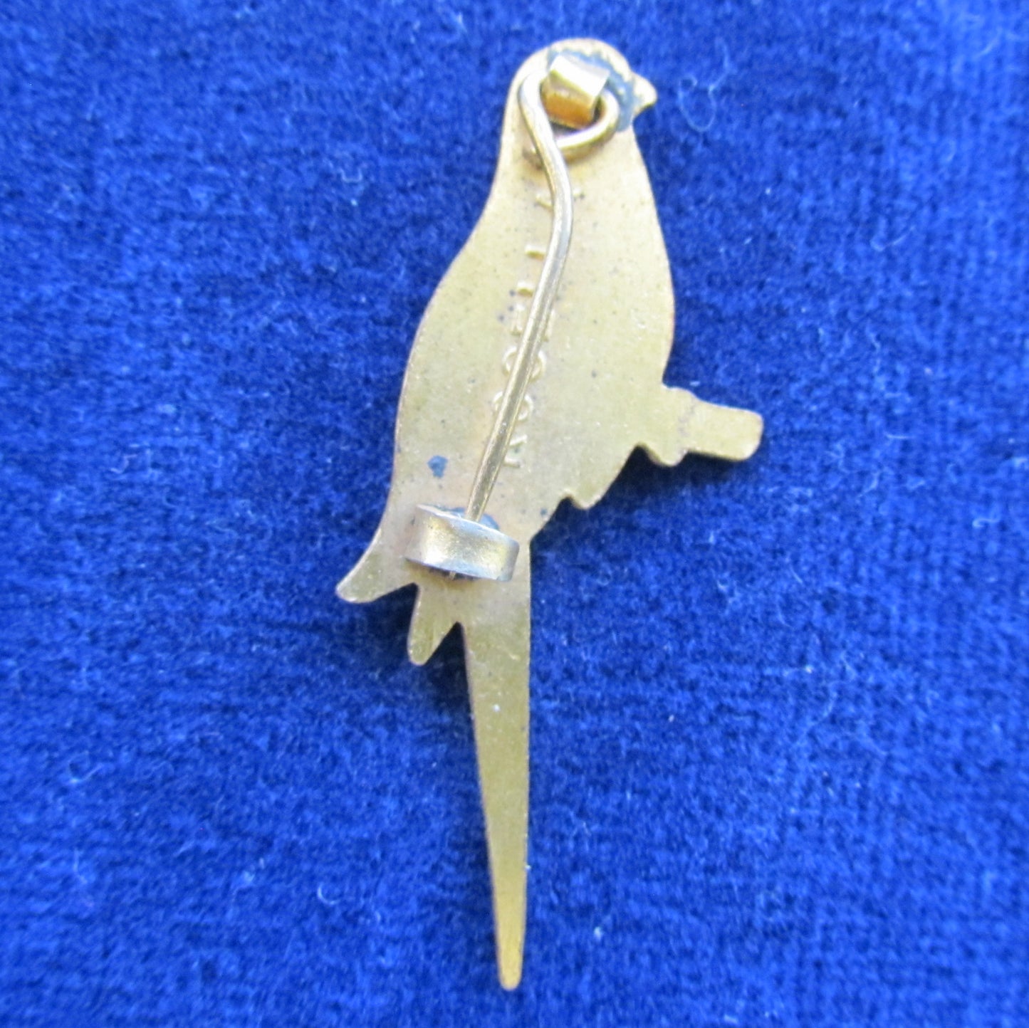 Brass Enameled Rosella Sitting On A Limb Brooch