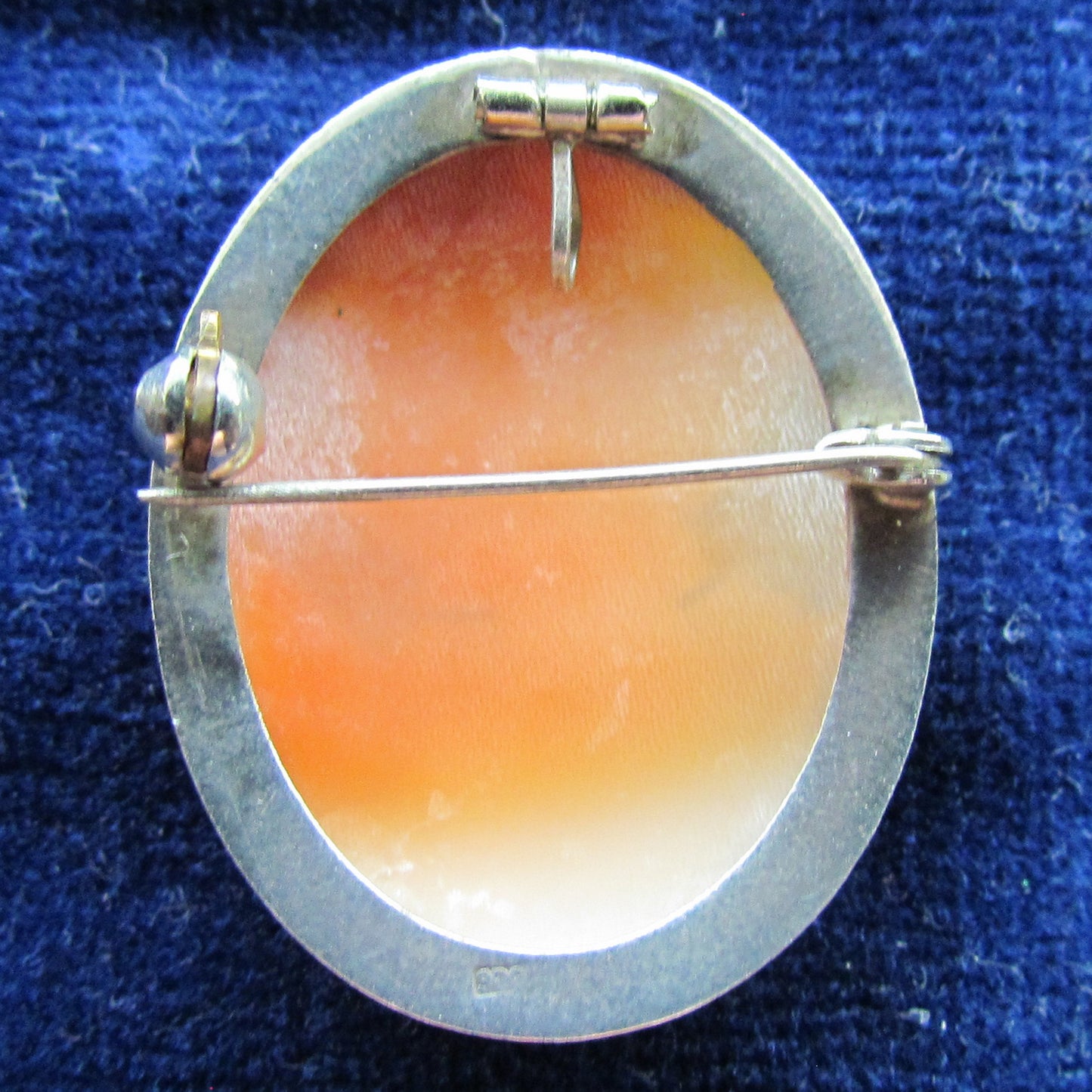900 Continental Silver Cameo Pendant Brooch