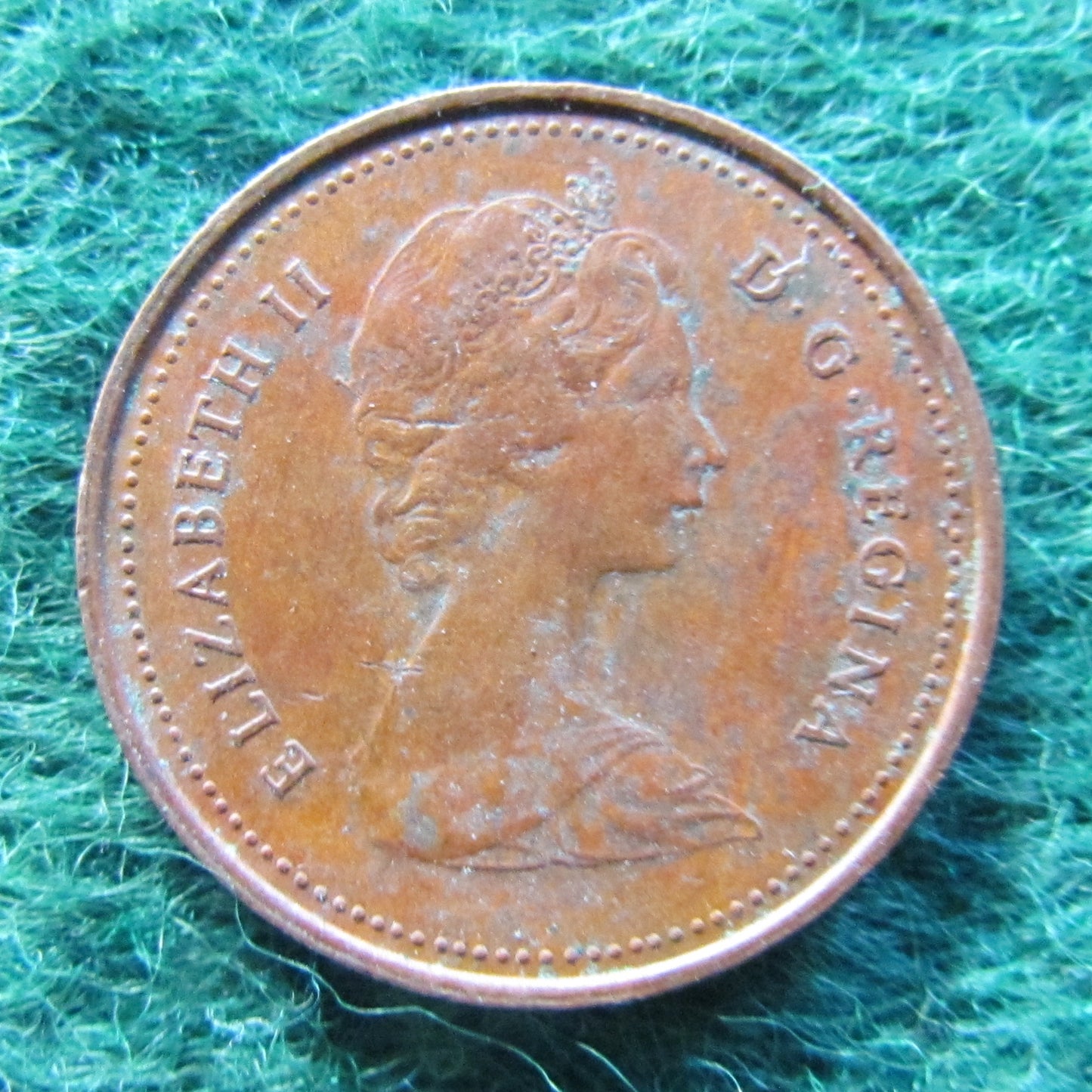 Canada 1981 1 Cent Queen Elizabeth II Coin - Circulated