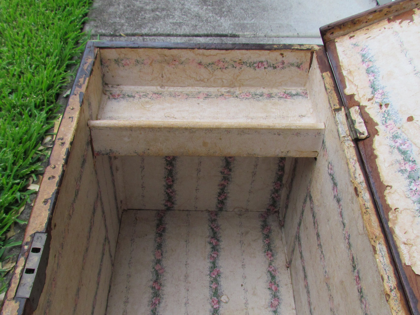 Australian cedar Trunk Blanket Box c1860