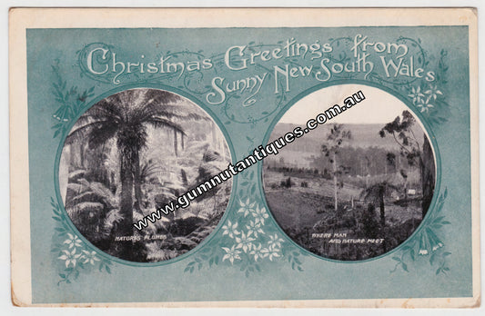 Postcard Christmas GreetingsFrom Sunny New South Wales Australia c1912