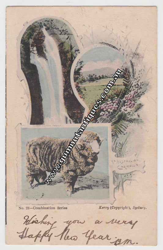 Postcard Combination Series Kerry Sydney Postmarked 1905