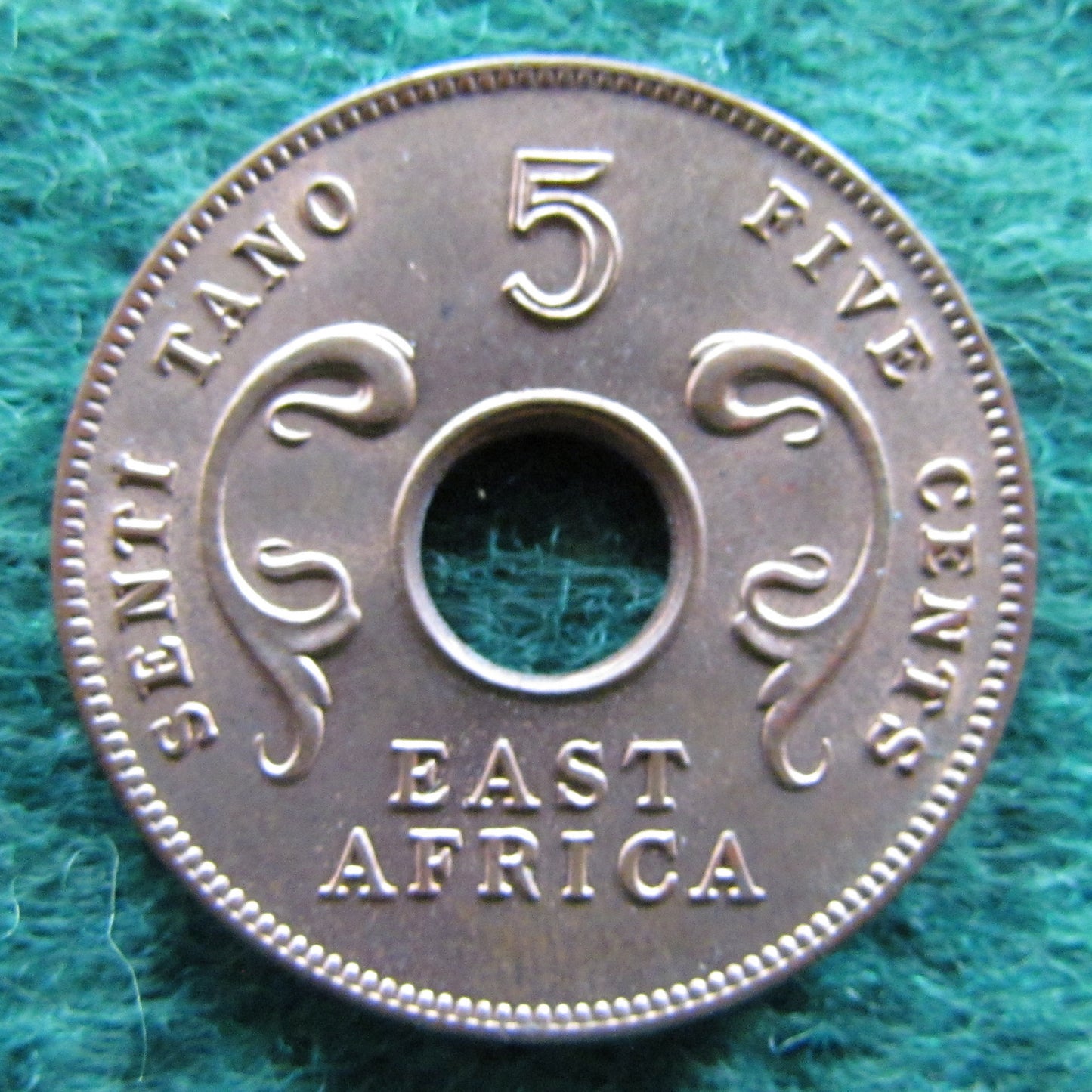 East Africa 1964 5 Cent Queen Elizabeth II Coin - Circulated