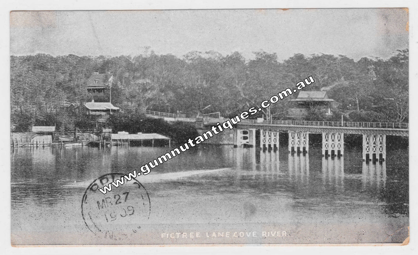 Postcard Figtree Lane Cove River 1909