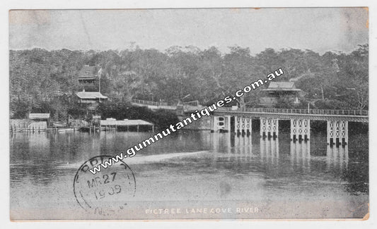 Postcard Figtree Lane Cove River 1909