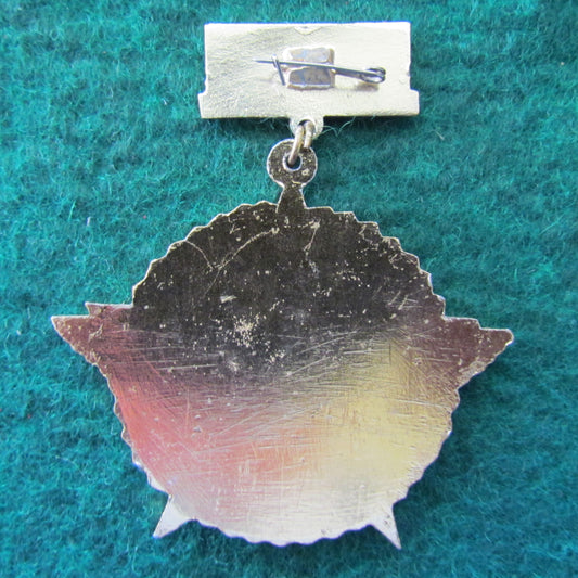 Russian Soviet Medal Award Vetran of Military Communications c1970