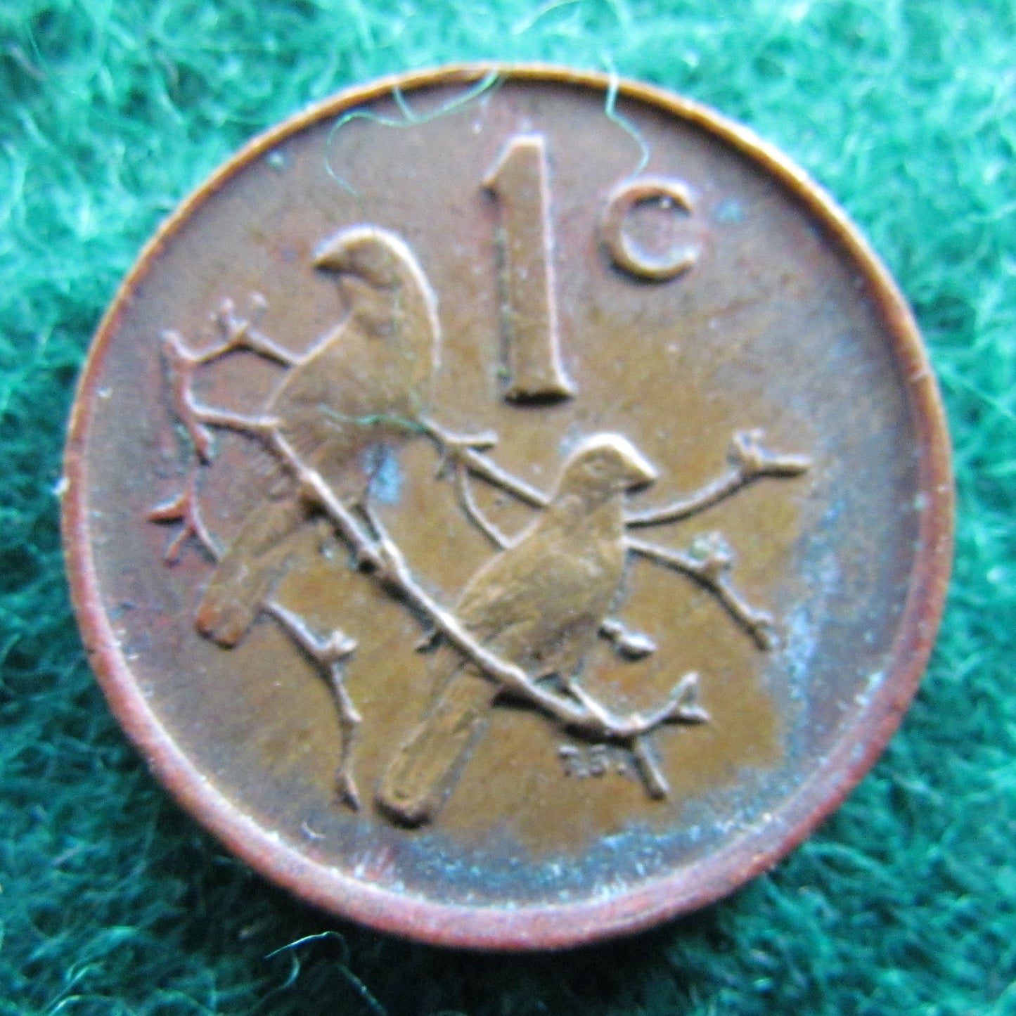 South Africa 1983 1 Cent Coin