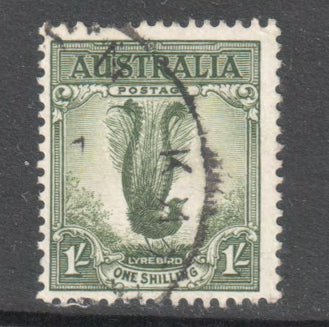 Australian 1937 1/- Greyish Green Lyrebird Stamp Perfin:13.5-14