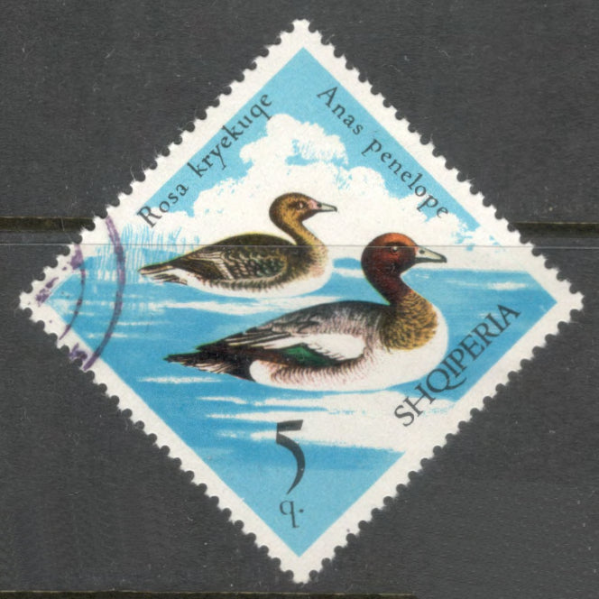 Albania 1975 5 Quintar Multicoloured Bird Wild Fowl Anas Penelope Stamp - Perfin: 12.0