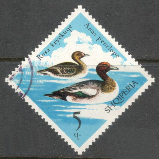 Albania 1975 5 Quintar Multicoloured Bird Wild Fowl Anas Penelope Stamp - Perfin: 12.0