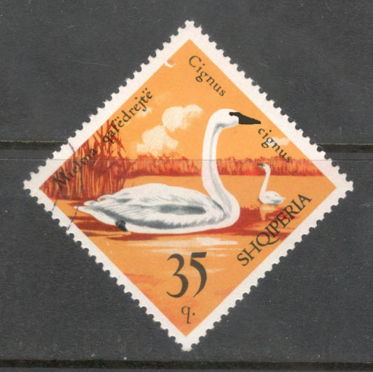 Albania 1975 35 Quintar Multicoloured Bird Wild Fowl Cygnus Cygnus Stamp - Perfin: 12.0