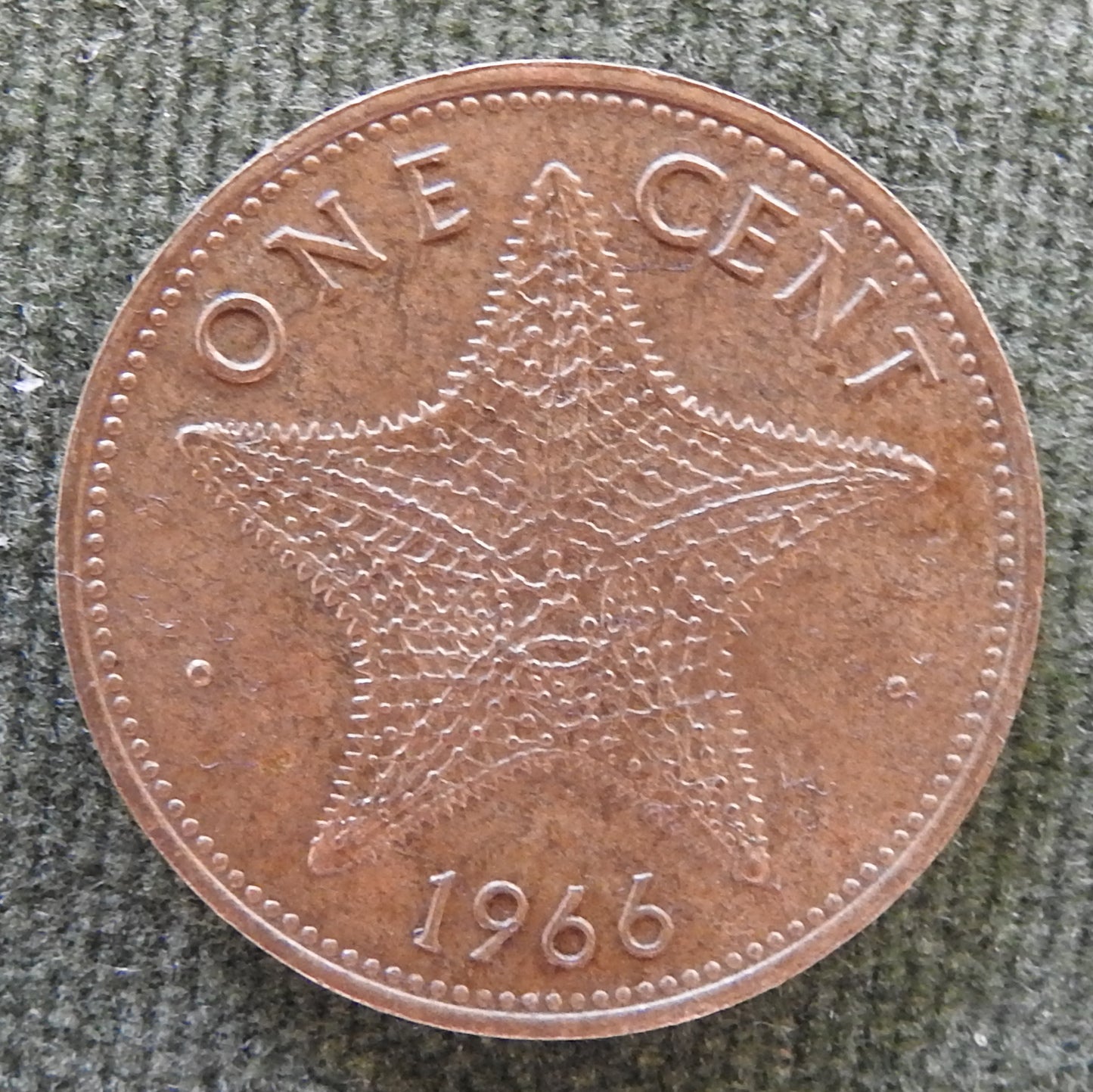 Bahama Islands 1966 1 Cent One Cent Coin Starfish