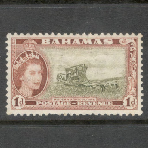 Caribbean Bahamas 1954 1d Brown / Olive Green Queen Elizabeth II Without Inscription Stamp - Perfin: 11.0x 11.50