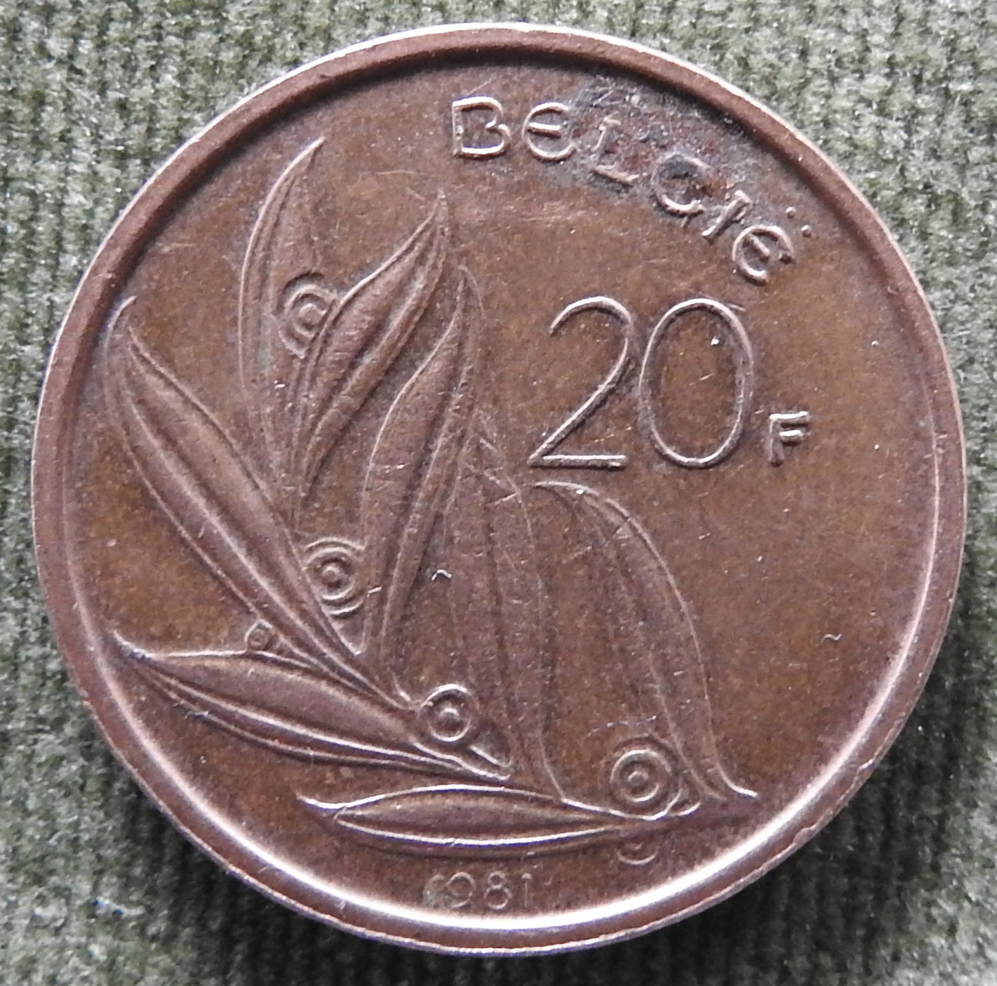 Belgium 1981 20 Franc Coin Portrait of Baudouin - Dutch Text