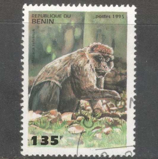 Benin 1995 135 Francs Multicoloured Primates Macaca Sylvana Stamp - Perfin: 12.75