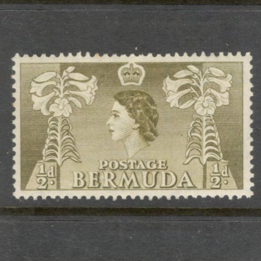 Bermuda 1953 1/2d Olive Local Motives & Queen Elizabeth II Stamp - Perfin: 13.5