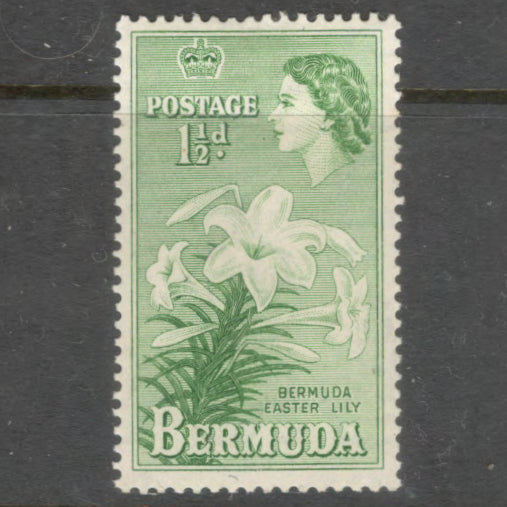 Bermuda 1953 1 1/2d Green Queen Elizabeth II Stamp - Perfin: 13.5