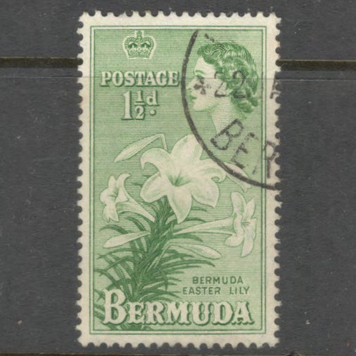 Bermuda 1953 1 1/2d Green Queen Elizabeth II Stamp - Perfin: 13.5