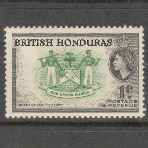 British Honduras 1953 -1957 Country Images 1 Cent Black / Green Stamp - Perfin: 13.5
