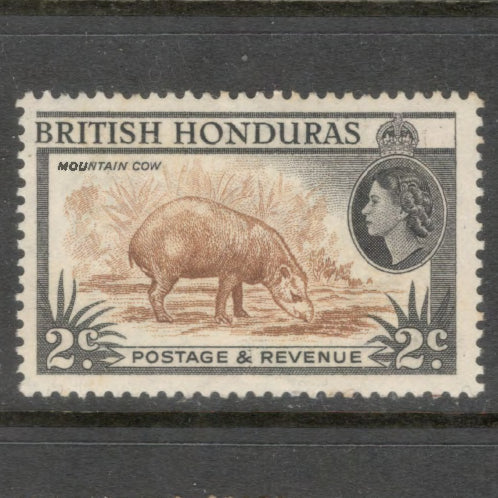 British Honduras 1953 -1957 Country Images 2 Cent Black / Yellowish Brown Stamp - Perfin: 13.5