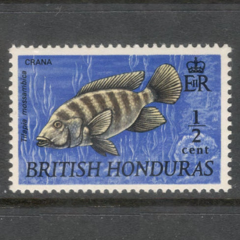 British Honduras 1969 1/2 Cent Wildlife - Fish Blue / Multicoloured Stamp - Perfin: 13.0