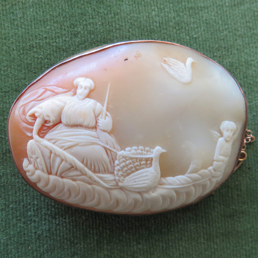 1920's 9ct Gold Kauri Shell Cameo Brooch With Safety Chain