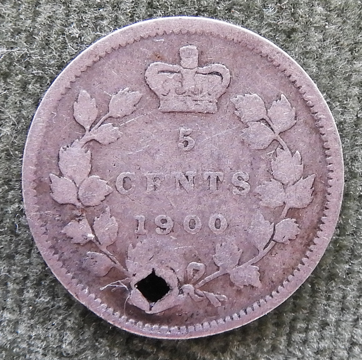 Canada 1900 5 Cent Silver Coin Queen Victoria