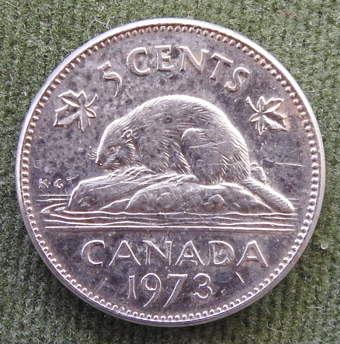 Canada 1973 5 Cent Coin Queen Elizabeth II North American Beaver