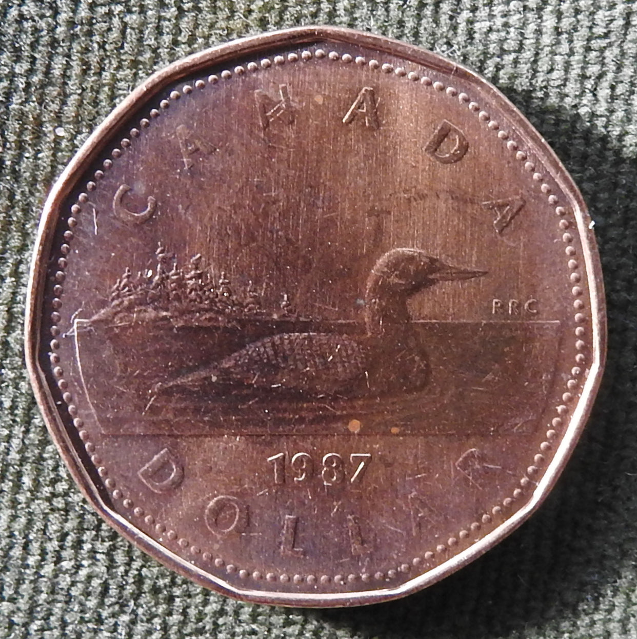 Canada 1987 1 Dollar Coin Queen Elizabeth II Canadian Loon Swimming