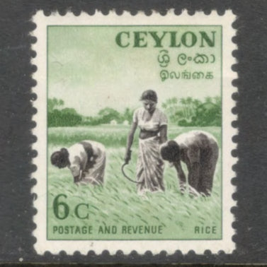 Ceylon 1951 - 1954 6 Cent Yellowish Green / Blackish Brown Local Motifs Stamp - Perfin: 11.75