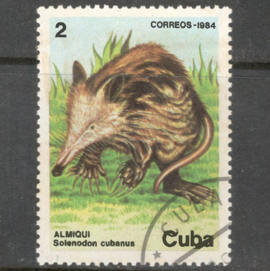 Cuba 1984 2 Centavo Multicoloured Cuban Wildlife Solenodon Cubanus Stamp - Perfin: 12.75