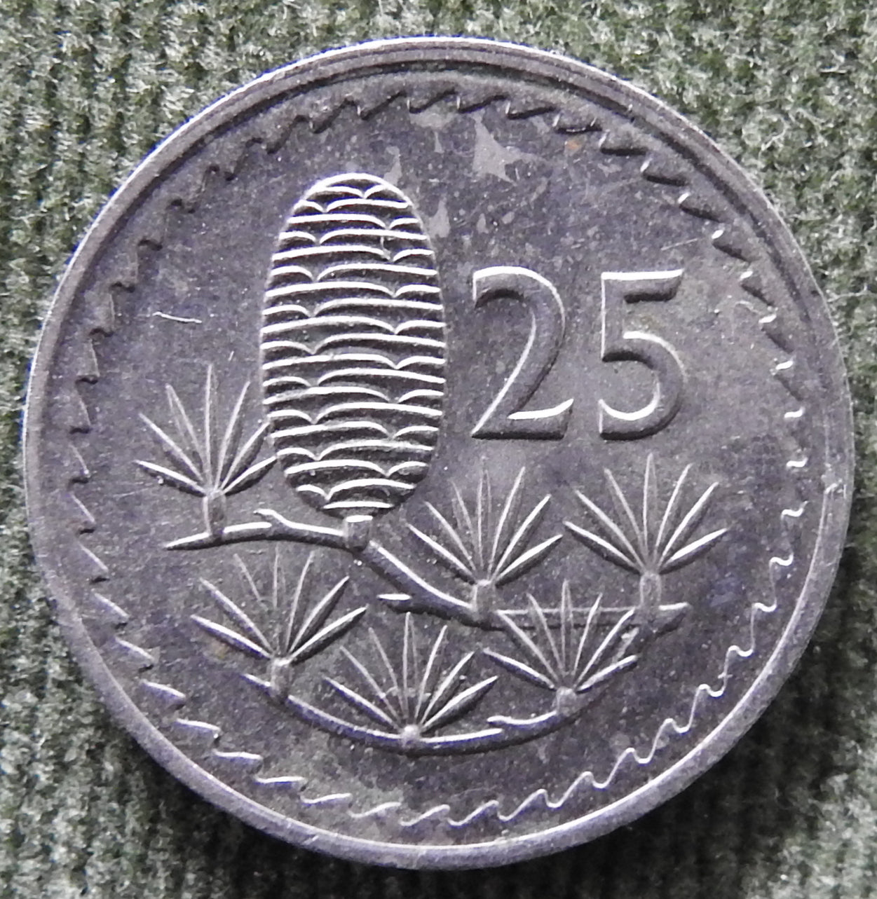 Cyprus 1980 25 Mils Coin - Circulated