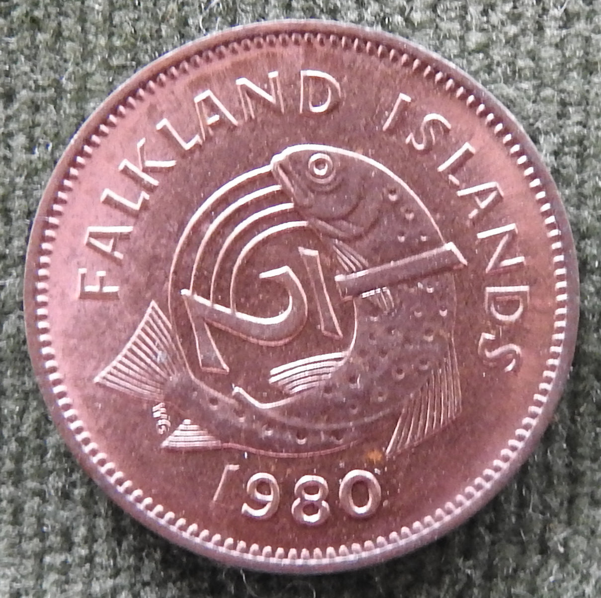 Falkland Islands 1980 1/2 Penny Coin Queen Elizabeth II