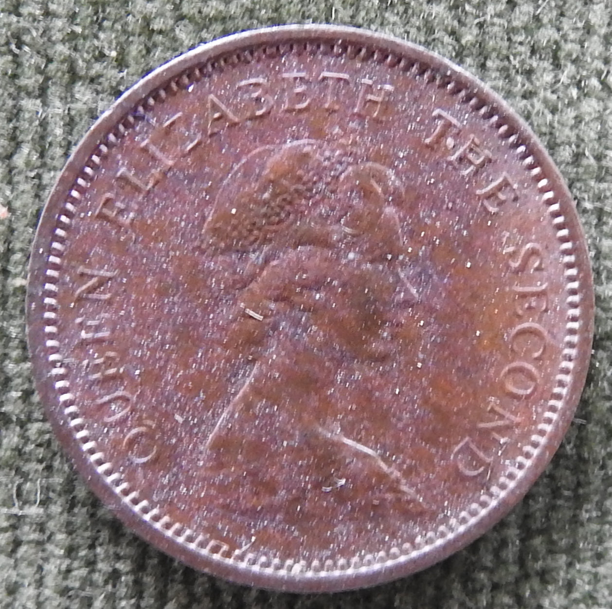 Falkland Islands 1980 1/2 Penny Coin Queen Elizabeth II